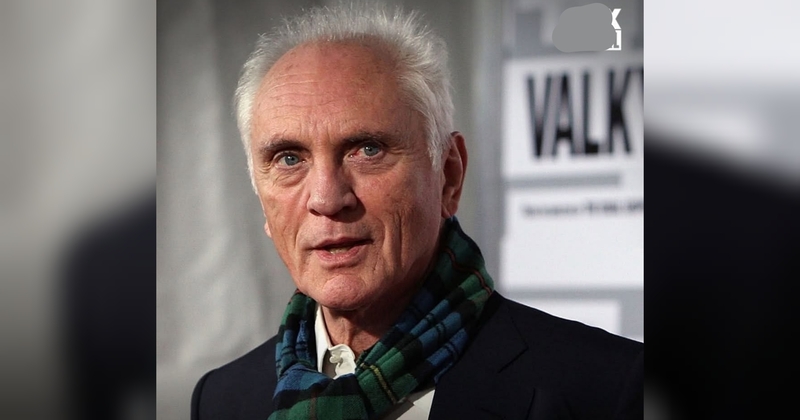 Film Ikonik yang Pernah Dibintangi Terence Stamp Semasa Hidup