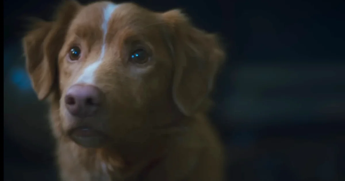 Segera Rilis Secara Global, Film ‘Good Boy’ Tayang di Bioskop Indonesia?