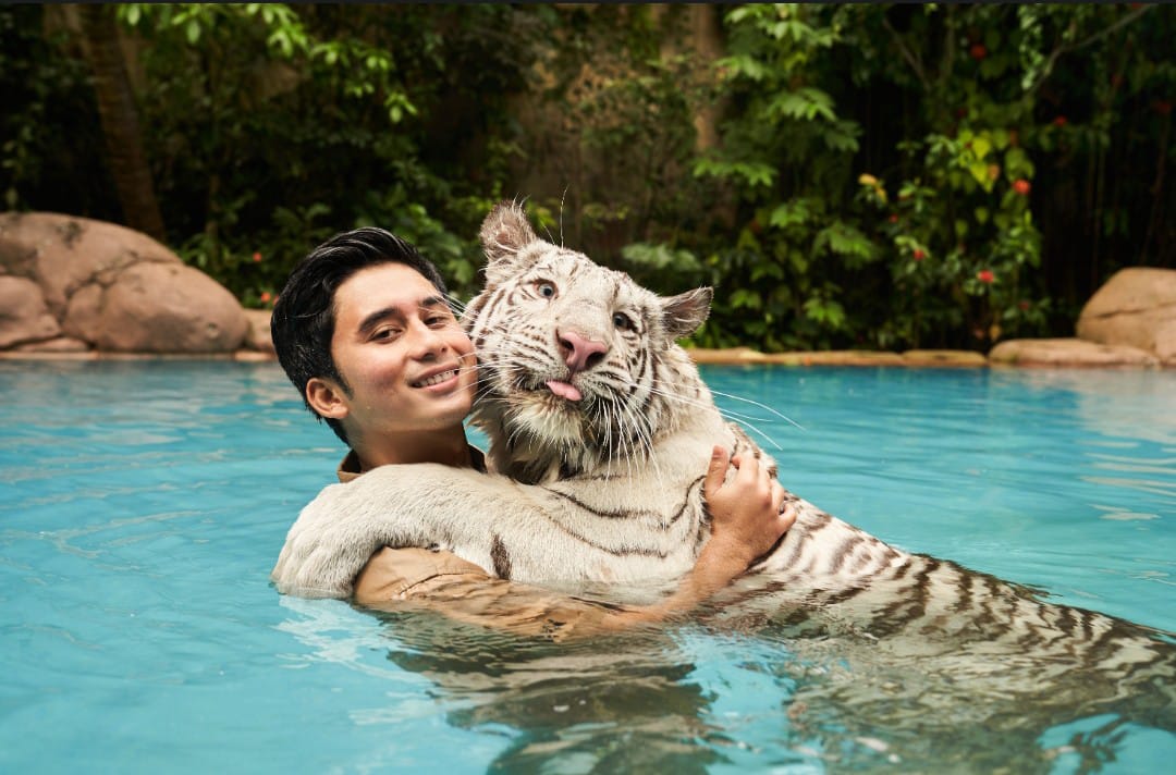 Alshad Ahmad Ungkap Merawat Kucing Lebih Sulit dari Harimau, Ini Alasannya