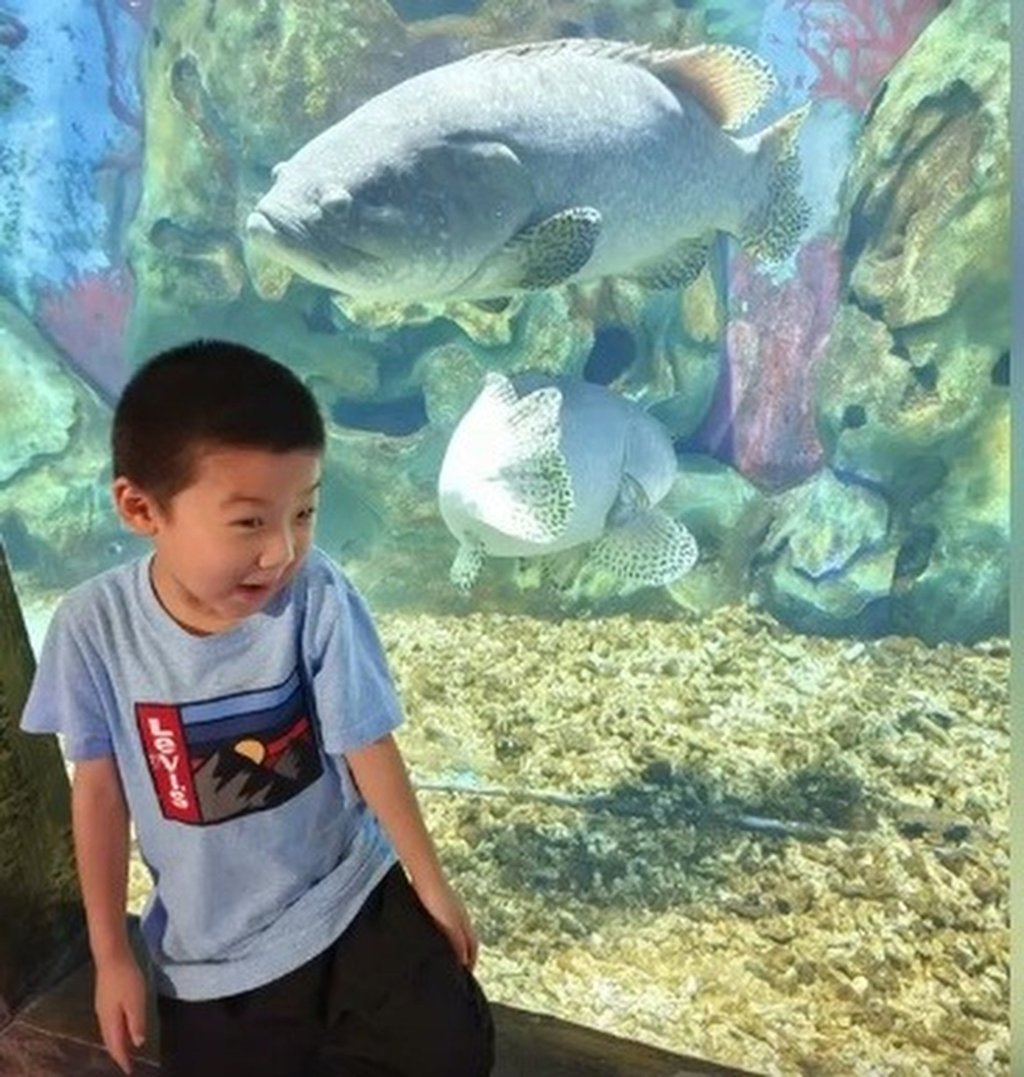 Tao sudah menyukai makhluk laut sejak usia 2 tahun. Foto: Dok. SCMP