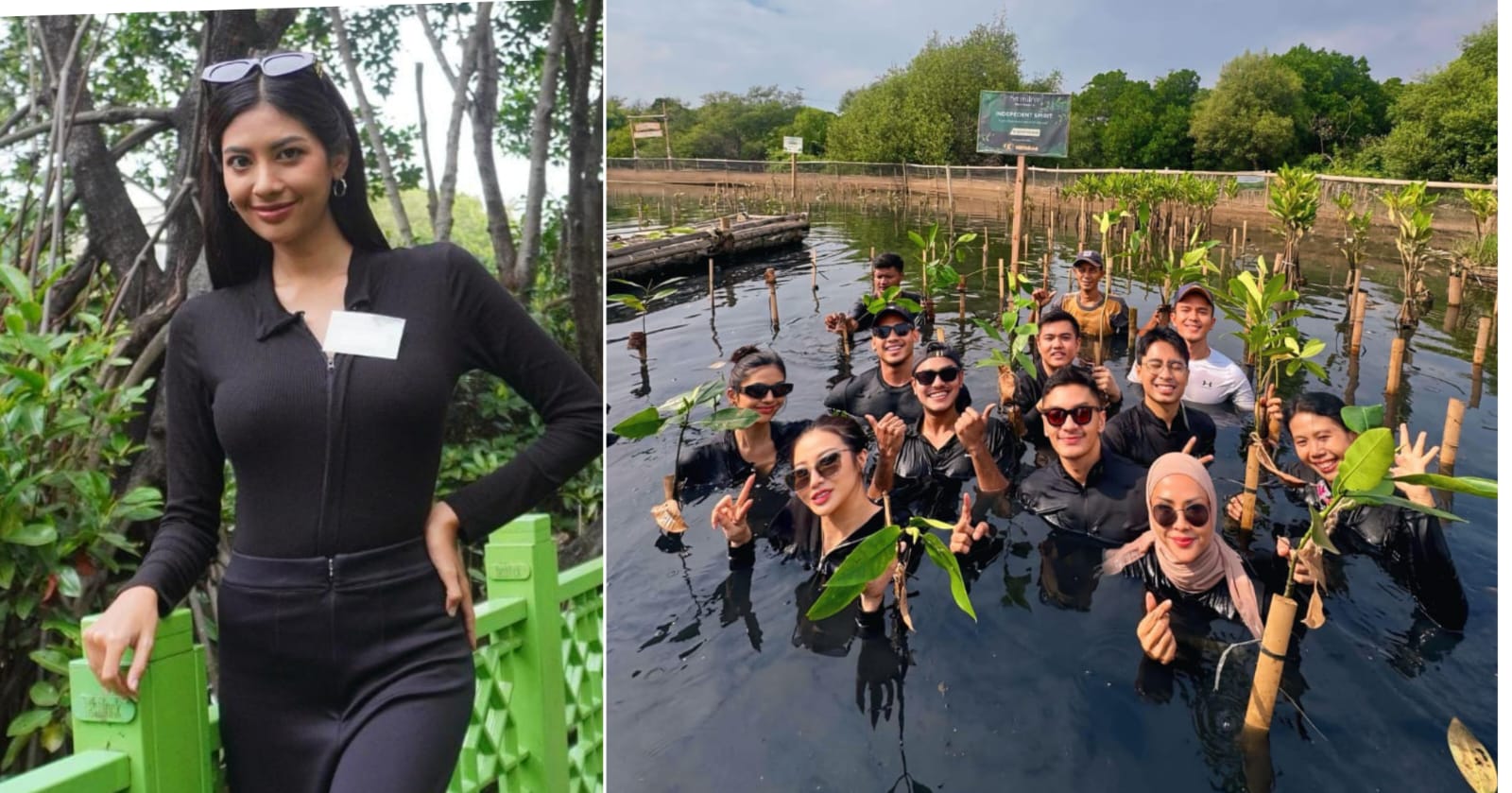 Maknai HUT RI ke-80, Miss Eco International 2025 Tanam 178 Bibit Mangrove