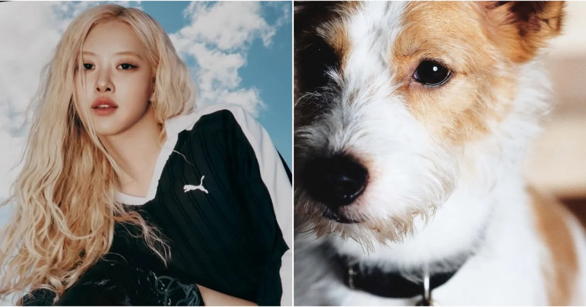 Anjing Peliharaan Rose BLACKPINK Hiasi Sampul Majalah Vogue