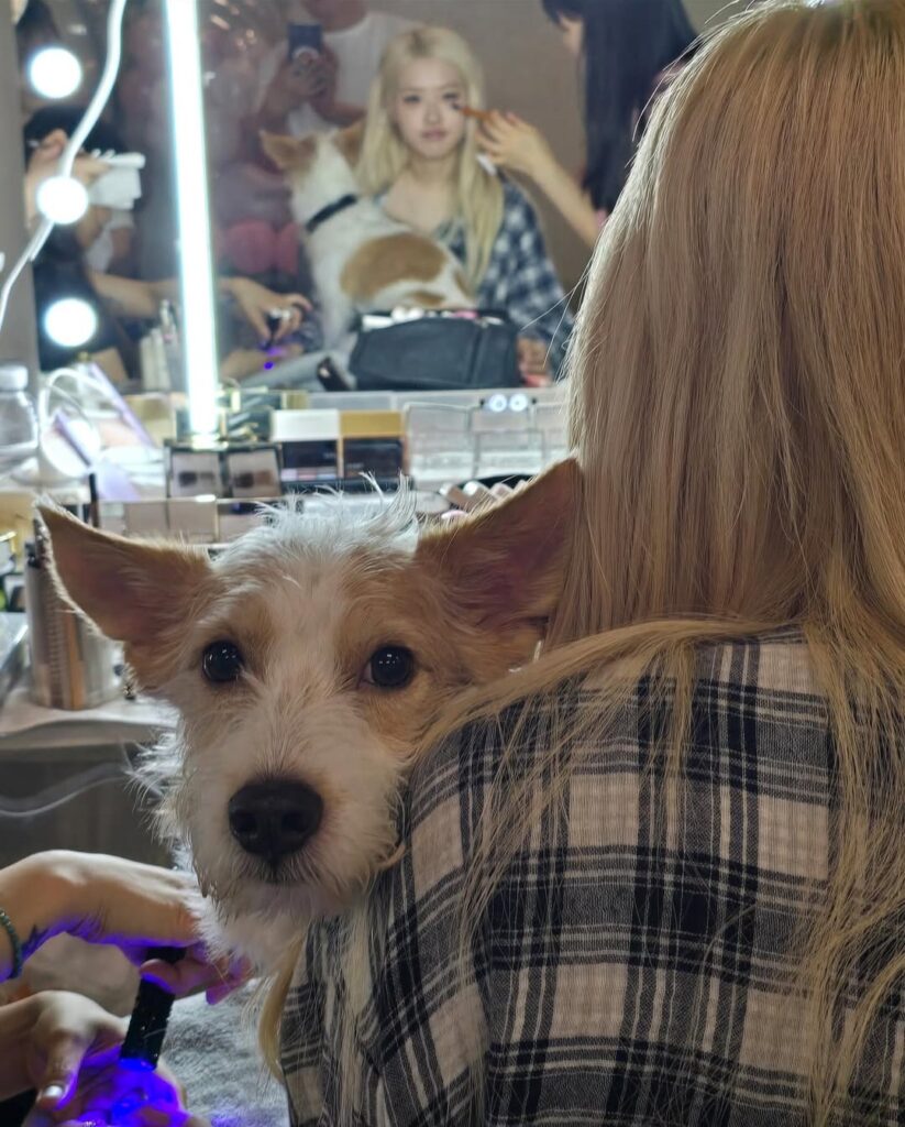 Instagram/hank_says_hank)