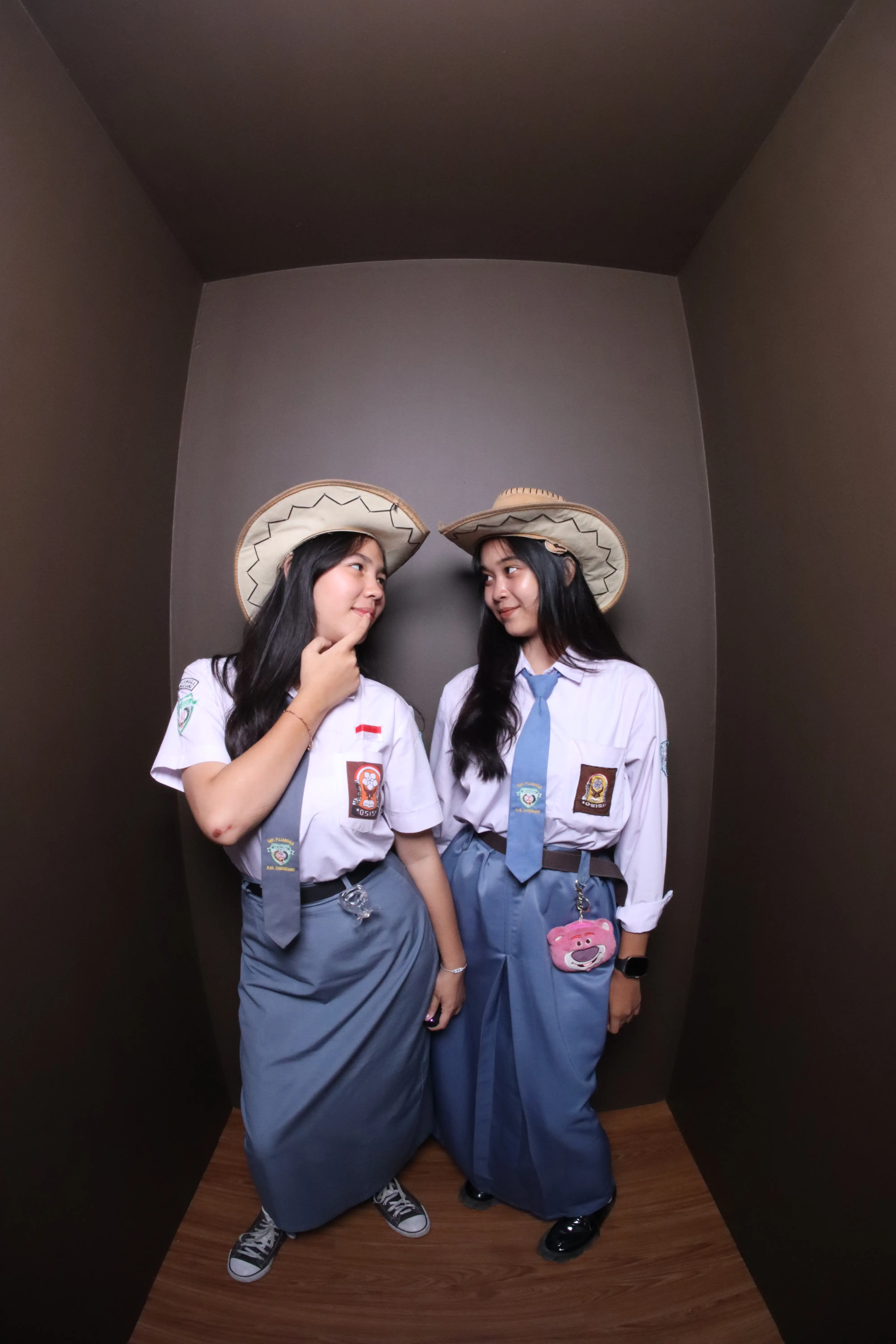 Fisheye