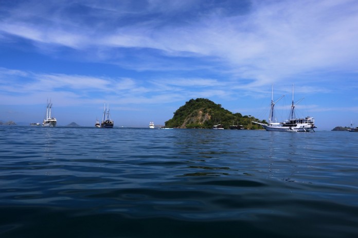 Wisatawan ke Pulau Komodo