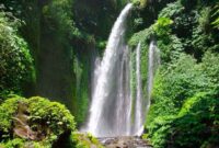 Menikmati Segarnya Panorama Air Terjun Tiu Kelep di Lombok