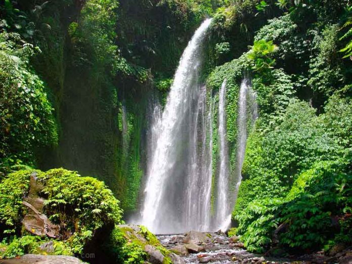 Menikmati Segarnya Panorama Air Terjun Tiu Kelep di Lombok