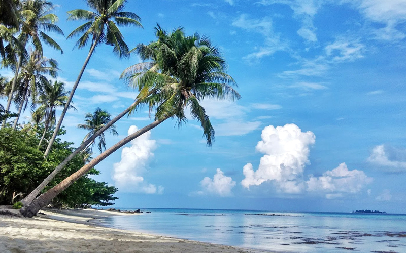 Destinasi Populer di Pulau Karimunjawa