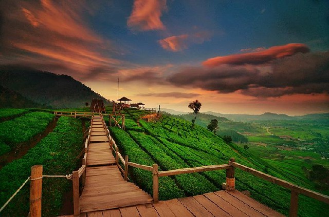 Wisata Terdekat Bandung - Wayang Windu