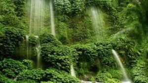 3 Air Terjun Terbaik Pilihan di Indonesia Yang Harus Anda Kunjungi 2 Air Terjun Benang Kelambu, Lombok