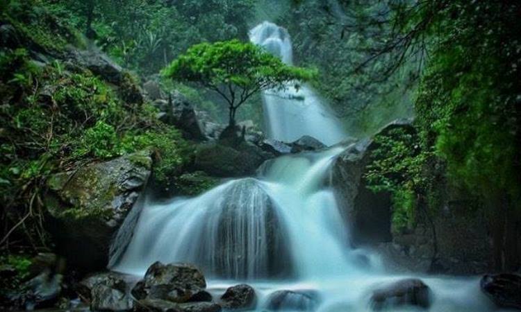 Harga Tiket Curug Hits Andalan Kota Bogor Curug Ciherang 2021
