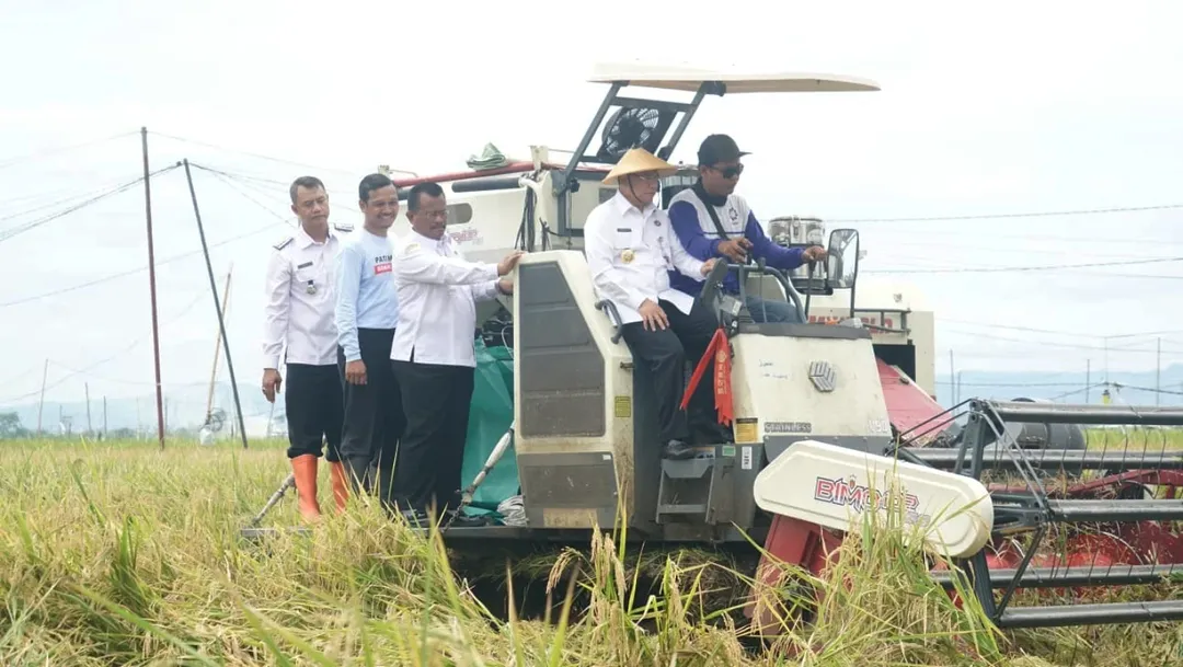 Panen 70 Hari Hasil 10 Ton, Bupati Sudewo Dorong Padi Super Cepat M70D untuk Kesejahteraan Petani