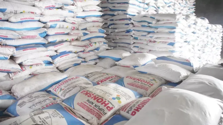Petani Kerek Tak Tahu Harga Turun, 1 Paket Pupuk Masih Ditebus Rp300 Ribu! Siapa Untung?