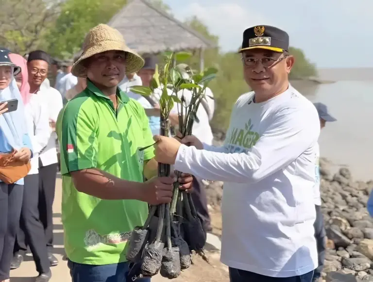 Bupati Sudewo Pimpin Aksi Mageri Segoro, 90 Ribu Mangrove Ditanam Jadi Benteng Baru Pesisir Utara