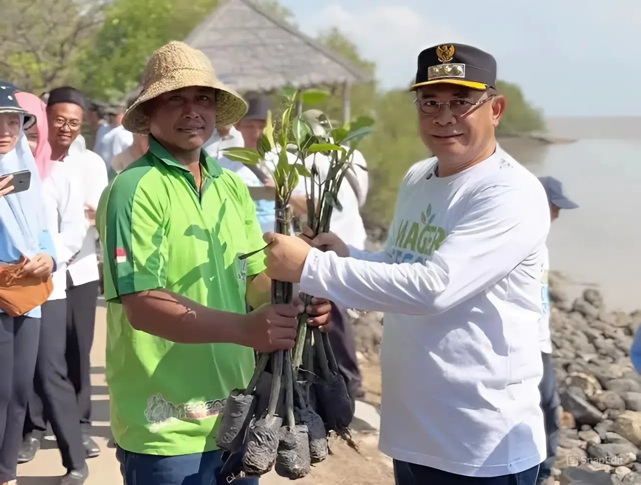 Bupati Sudewo Pimpin Aksi Mageri Segoro 90 Ribu Mangrove Ditanam Jadi Benteng Baru Pesisir Utara