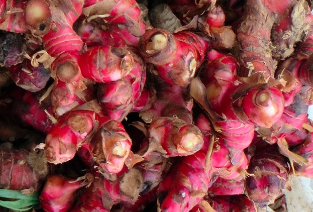 Harga Jahe di Pati Stabil di Awal Kuartal IV 2025
