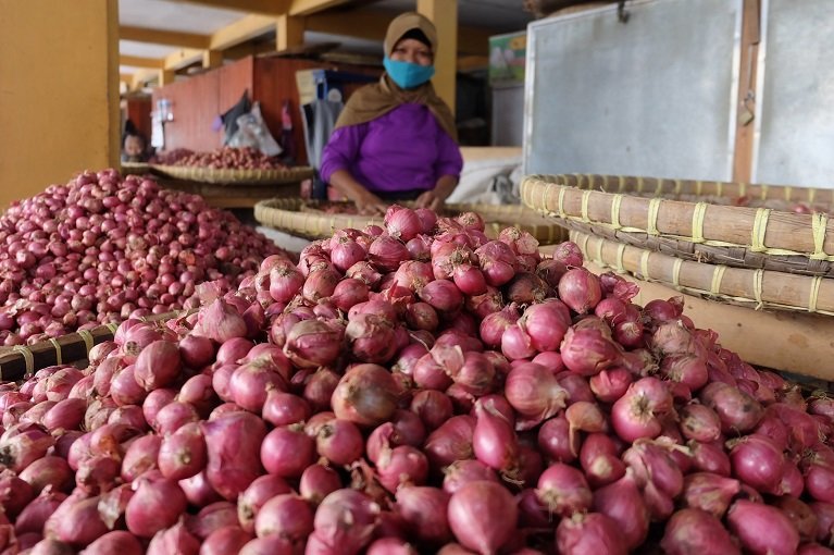 Fluktuasi Harga Komoditas di Pati: Bawang Merah Stabil Tinggi, Bawang Putih dan Bombay Ikut Merangkak Naik
