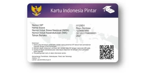Cek PIP November 2025 Berikut Nominal dan Tahapannya