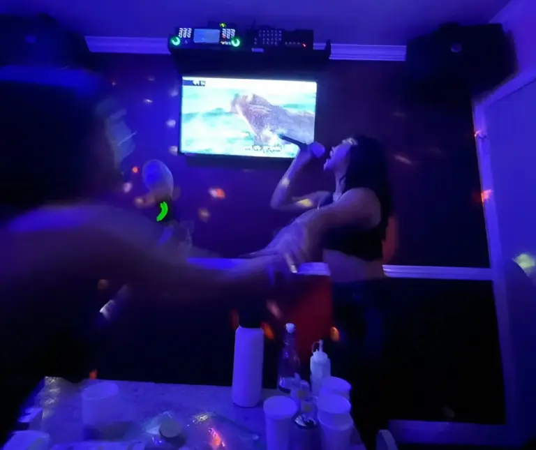 NIB Karaoke Ilegal Pati Jaringan Bisnis Gelap dan Pajak Satu Dekade yang Menguap