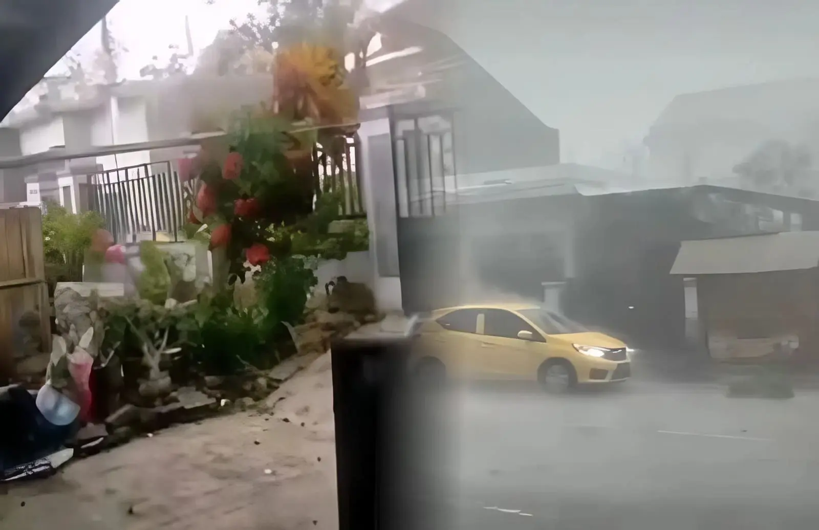 Puting Beliung Porak Porandakan Ngraho, Pohon Tumbang Tutup Jalan Utama Bojonegoro