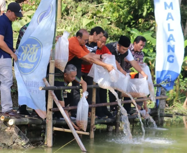 Strategi Bupati Sragen: 250 Ribu Benih Ikan Dorong Ekonomi Berbasis Embung