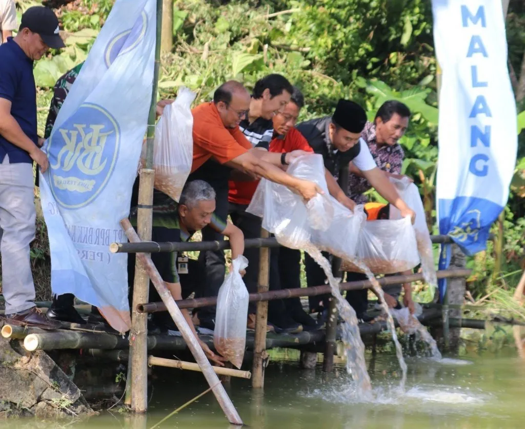 Strategi Bupati Sragen: 250 Ribu Benih Ikan Dorong Ekonomi Berbasis Embung