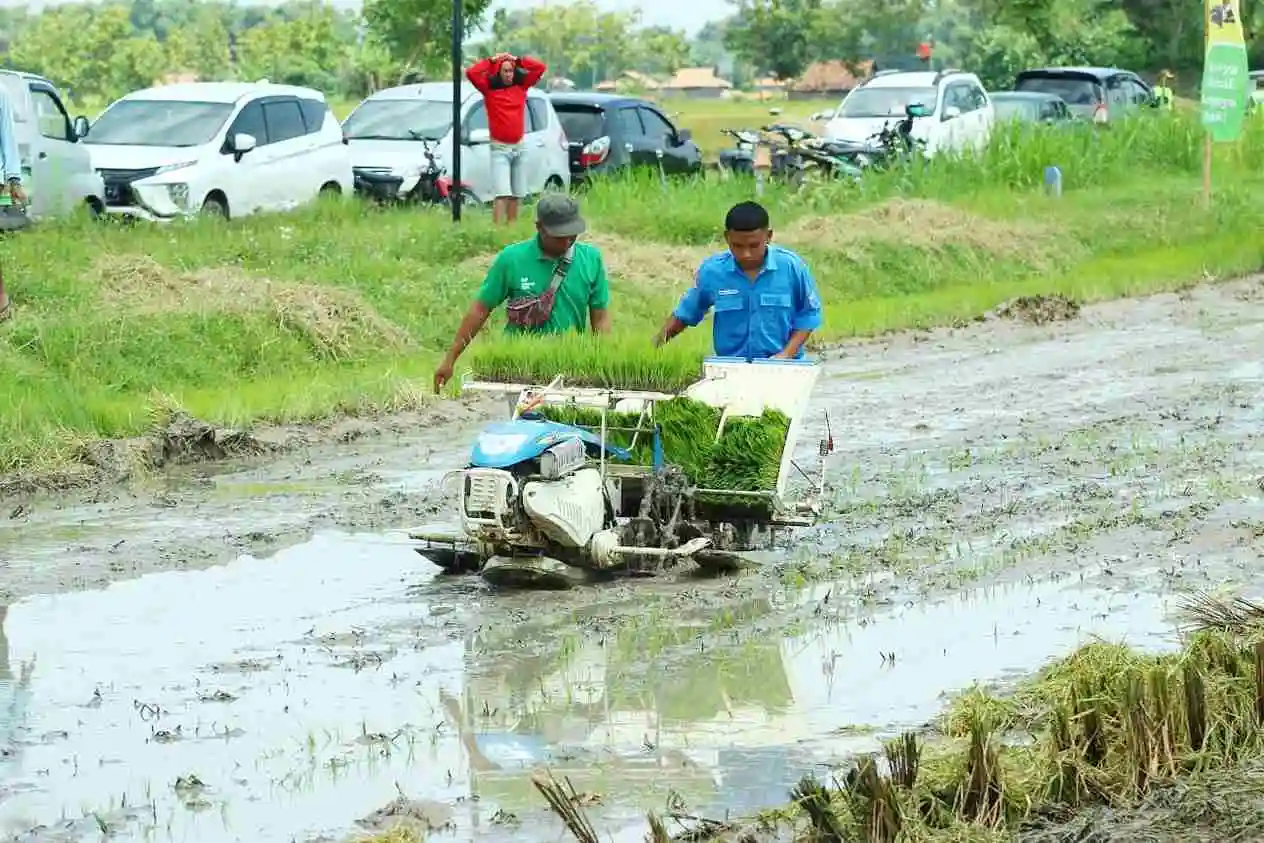 Rekor Baru Pertanian Rembang Stok Beras Aman Hingga 2 Tahun Lebih