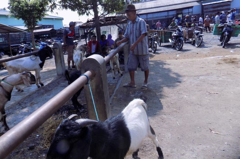 Defisit Fiskal Kabupaten Pati per 23 Mei 2026 Tembus Rp94,5 Miliar