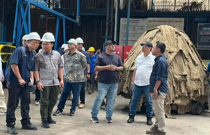 Holding Perkebunan Nusantara Perkuat Produktivitas Karet, PTPN I Fokus Benahi Kebun Padang Pelawi