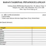 Kotak Pandora Dana Puso 2023 Baru Cair Rp30,69 miliar, Sisa Rp14,78 Miliar