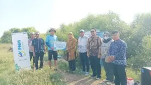 Dari Pakaian, Buku, hingga 29.000 Pohon: PNM Perluas Makna Pemberdayaan di Masyarakat Akar Rumput