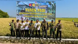Mikroba PA63 WD05 Buktikan Keunggulan, Hasil Panen Padi di Pati Tembus 7,8 Ton per Hektare