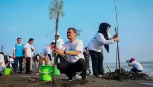Lewat Mageri Segoro Ikhtiar Jateng Menahan Abrasi dan Krisis Lingkungan
