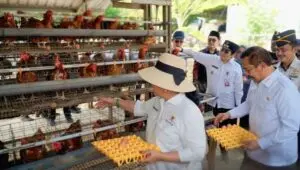 Intip Wajah Baru Nusakambangan, Dari Penjara Sangar Menuju Lumbung Pangan Nasional