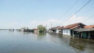 Pemprov Jateng-Pemkab Pati Gerak Cepat Tangani Rob Tunggulsari
