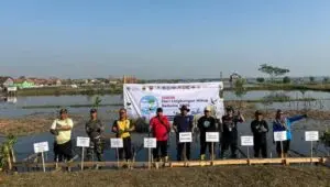 Hari Lingkungan Hidup 2026, BPI Siapkan 30 Ribu Mangrove untuk Pesisir Batang