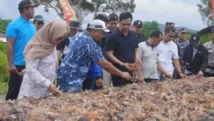 Tak Hanya Wisata, Karimunjawa Kini Didorong Jadi Kawasan Budidaya Rumput Laut Nasional