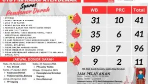 Stok Darah PMI Demak Hari Ini: 189 Kantong Tersedia, Golongan O Terbanyak