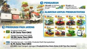 Hari Jadi Ke-81 Jateng: Dari Sawah Jawa Tengah untuk Meja Makan Indonesia