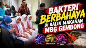 Hasil Lab Mikrobiologi Keluar! Nasi Bakar MBG Gembong Positif E.coli dan Bakteri Berbahaya