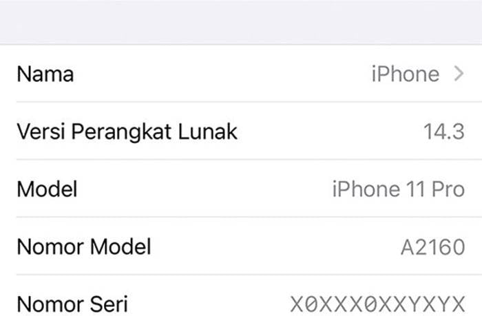 Cek IMEI iPhone Lewat Pengaturan dan Website