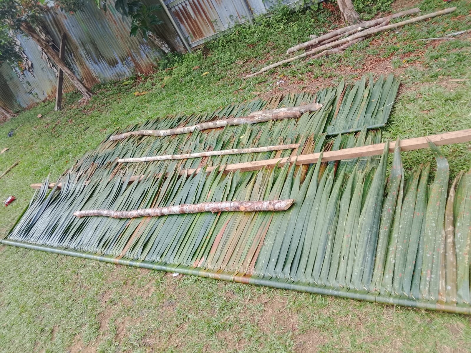 Siswa menyiapkan anyaman daun sebagai bahan atap rumah adat Suku Muyu Kati, menggunakan teknik tradisional yang dipelajari secara langsung dalam proses pembangunan.