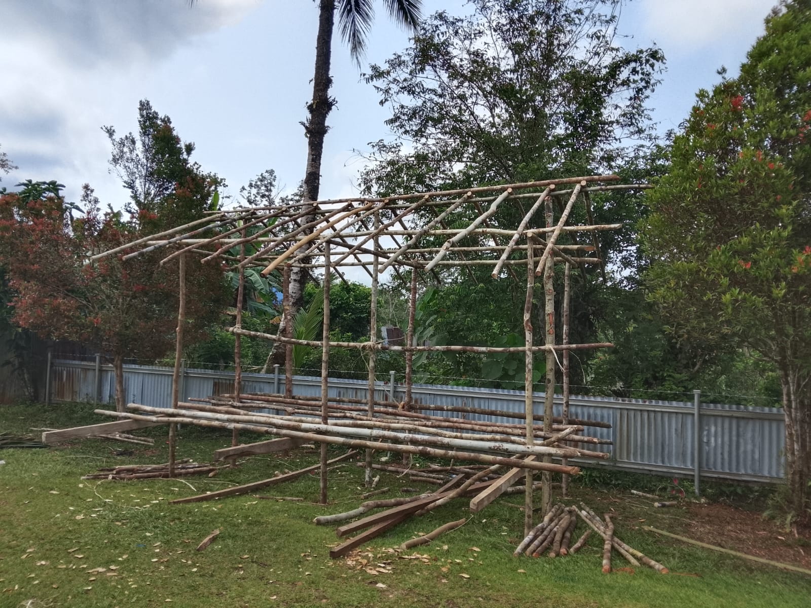 Siswa SMA YPPK Mindiptana secara gotong royong membangun kerangka rumah adat Suku Muyu Kati menggunakan bahan kayu dari alam sebagai bagian dari pembelajaran dan pelestarian pengetahuan adat.