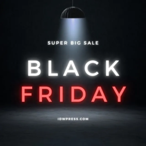 black friday 2024
