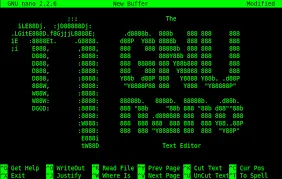 SSH Essential Commands