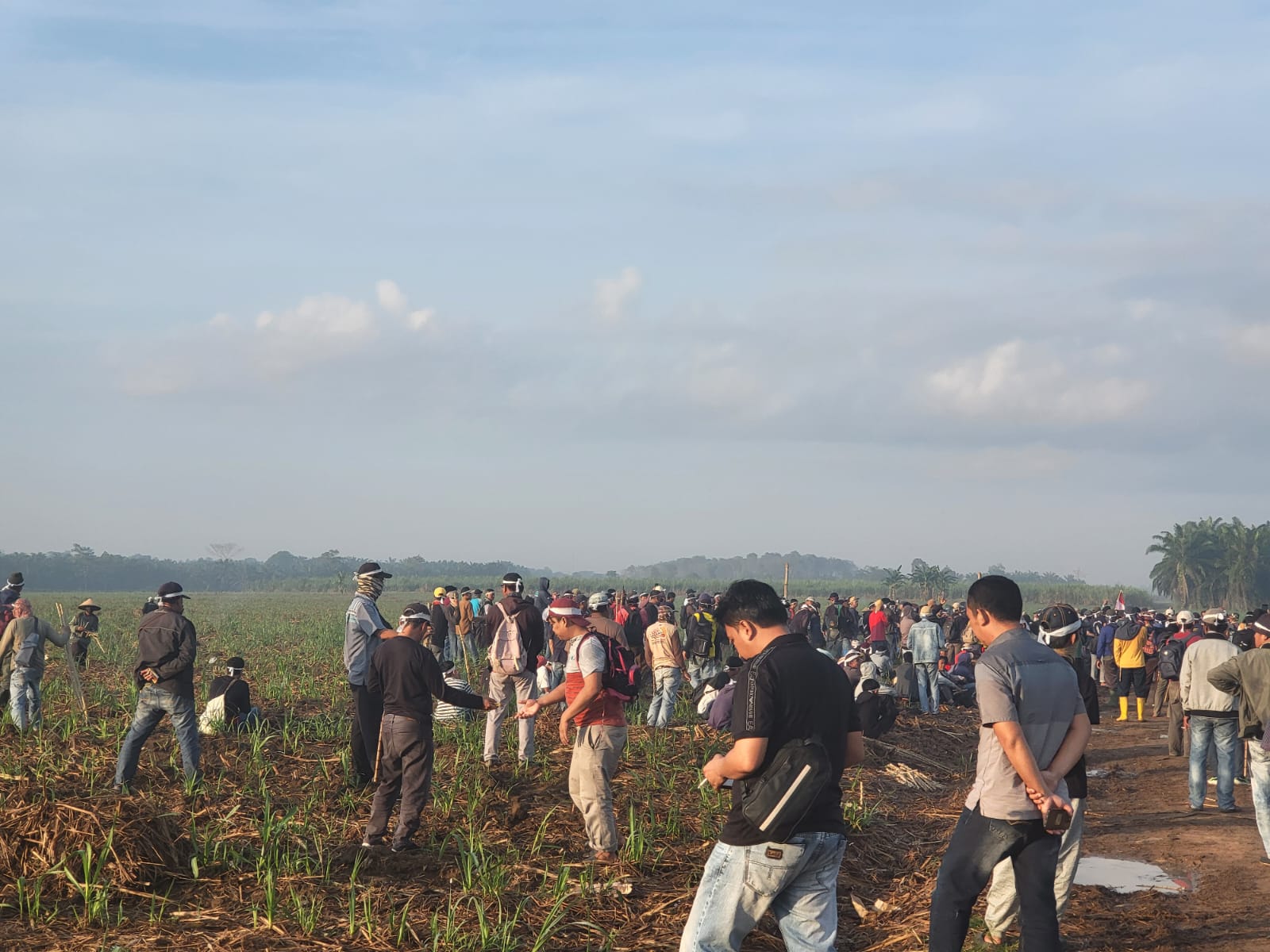 Ramai-ramai Masyarakat Anak Tuha Tanami Lahan PT BSA