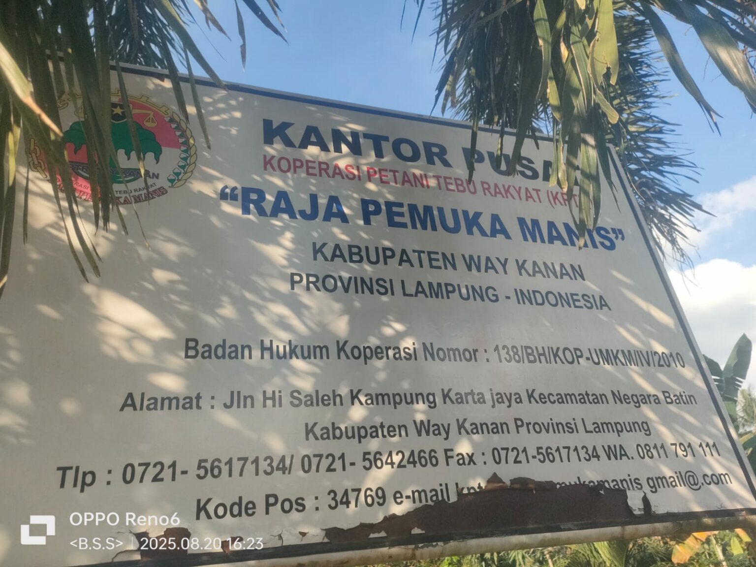 Terima Bantuan Rp60 Miliar Koperasi KPTR Pemuka Manis Diduga Fiktif, ini Penjelasan Harmoni?