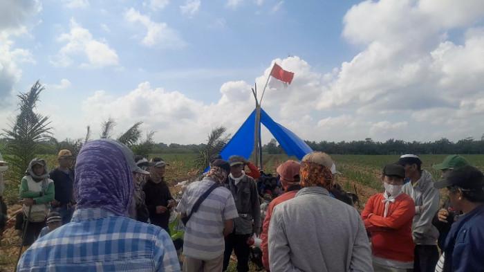 HUT RI 80 Warga Tiga Desa Kecamatan Anak Tuha Upacara di Lahan BW, Malam Lahan Tebu Terbakar