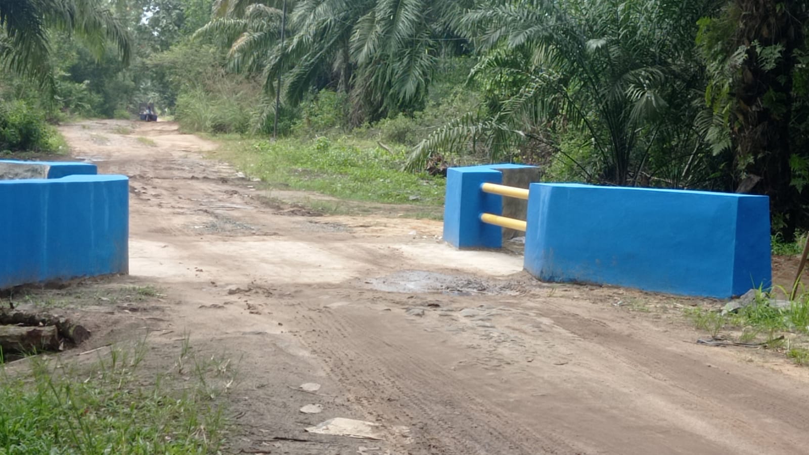 52 Tahun Diacuhkan Pemerintah, Warga di Labuhan Maringgai Inisiatif Bangun Jembatan Hasil Patungan