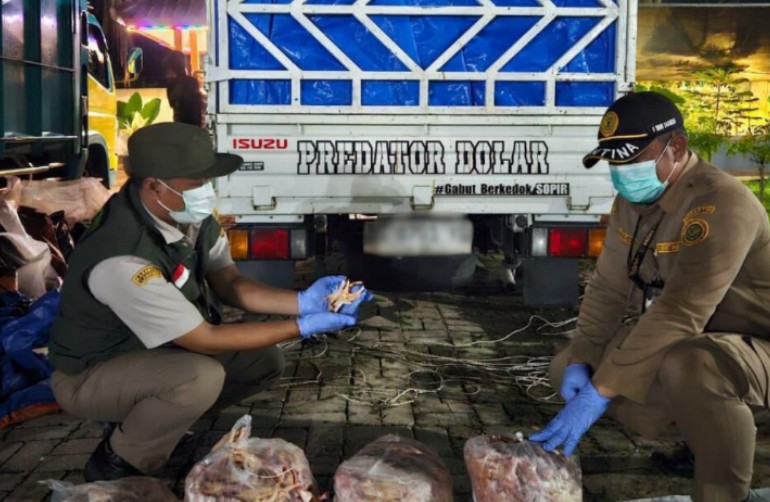 10,8 Ton Ceker Ayam Gagal jadi Santapan Lezat di Metro dan Palembang, Keburu Diciduk Petugas